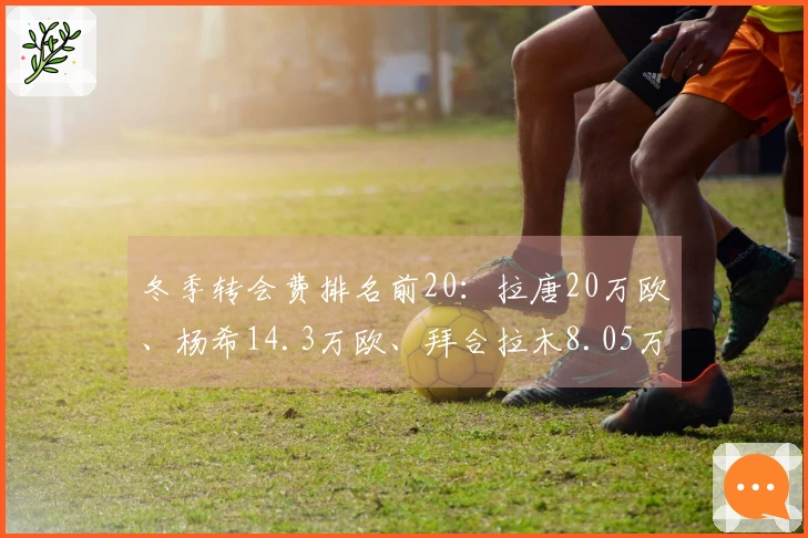 冬季转会费排名前20：拉唐20万欧、杨希14.3万欧、拜合拉木8.05万