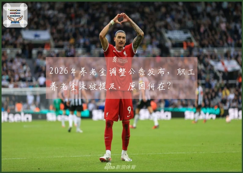 2026年养老金调整公告发布，职工养老金未被提及，原因何在？