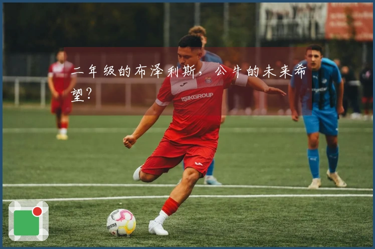 二年级的布泽利斯，公牛的未来希望？